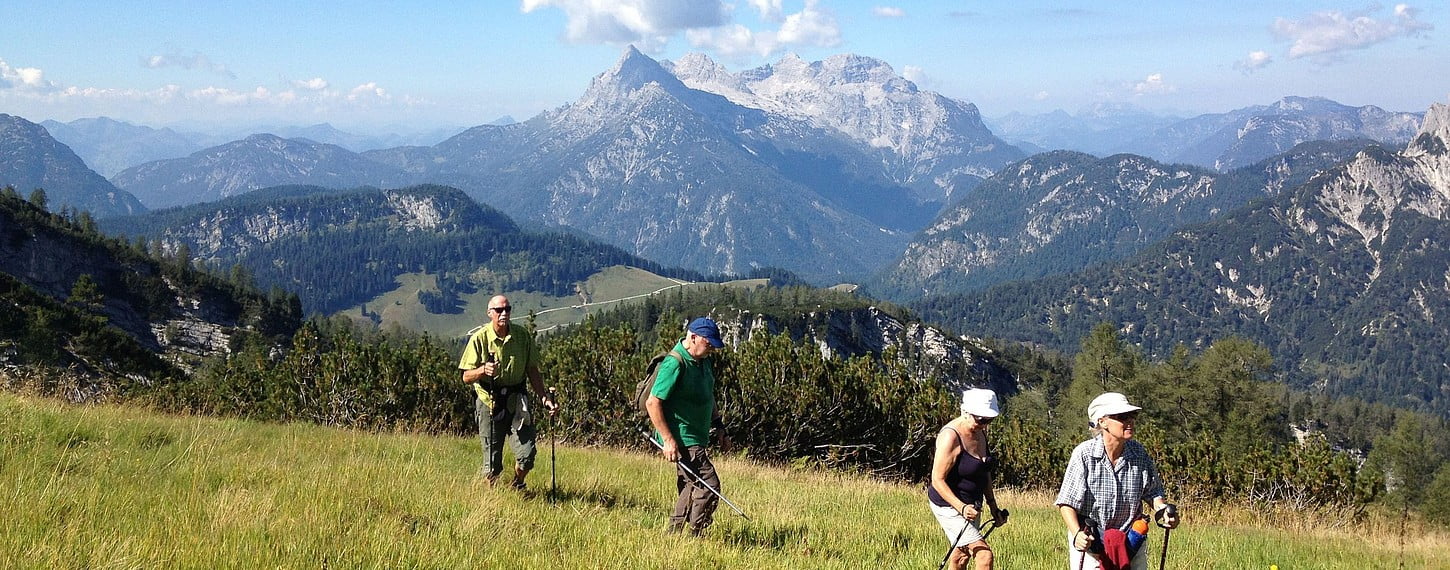 Training, excursions and tour - component 17