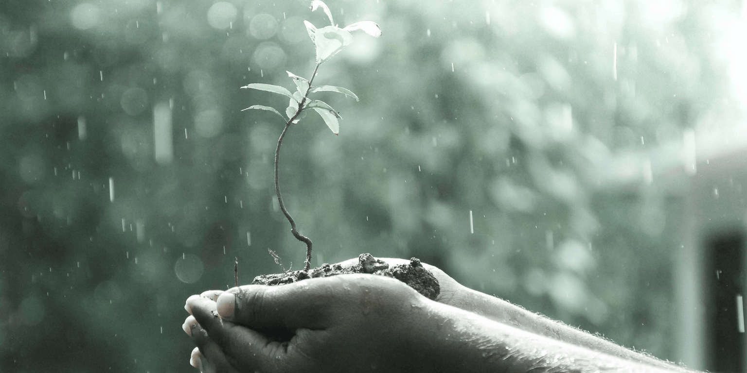 Israeli era to transform Indian agriculture 22