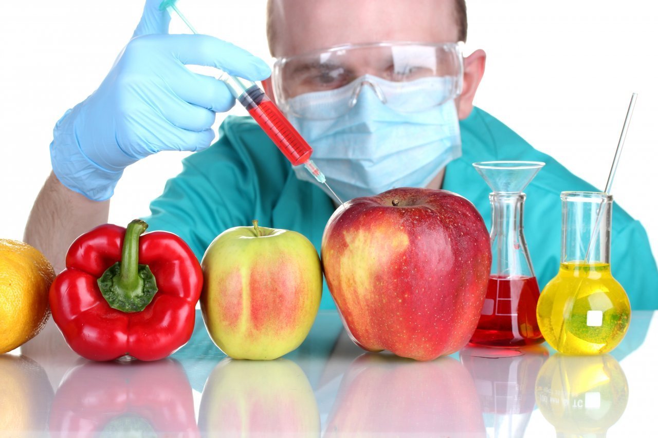 Genetically Modified Food - The Benefits and the Risks 7